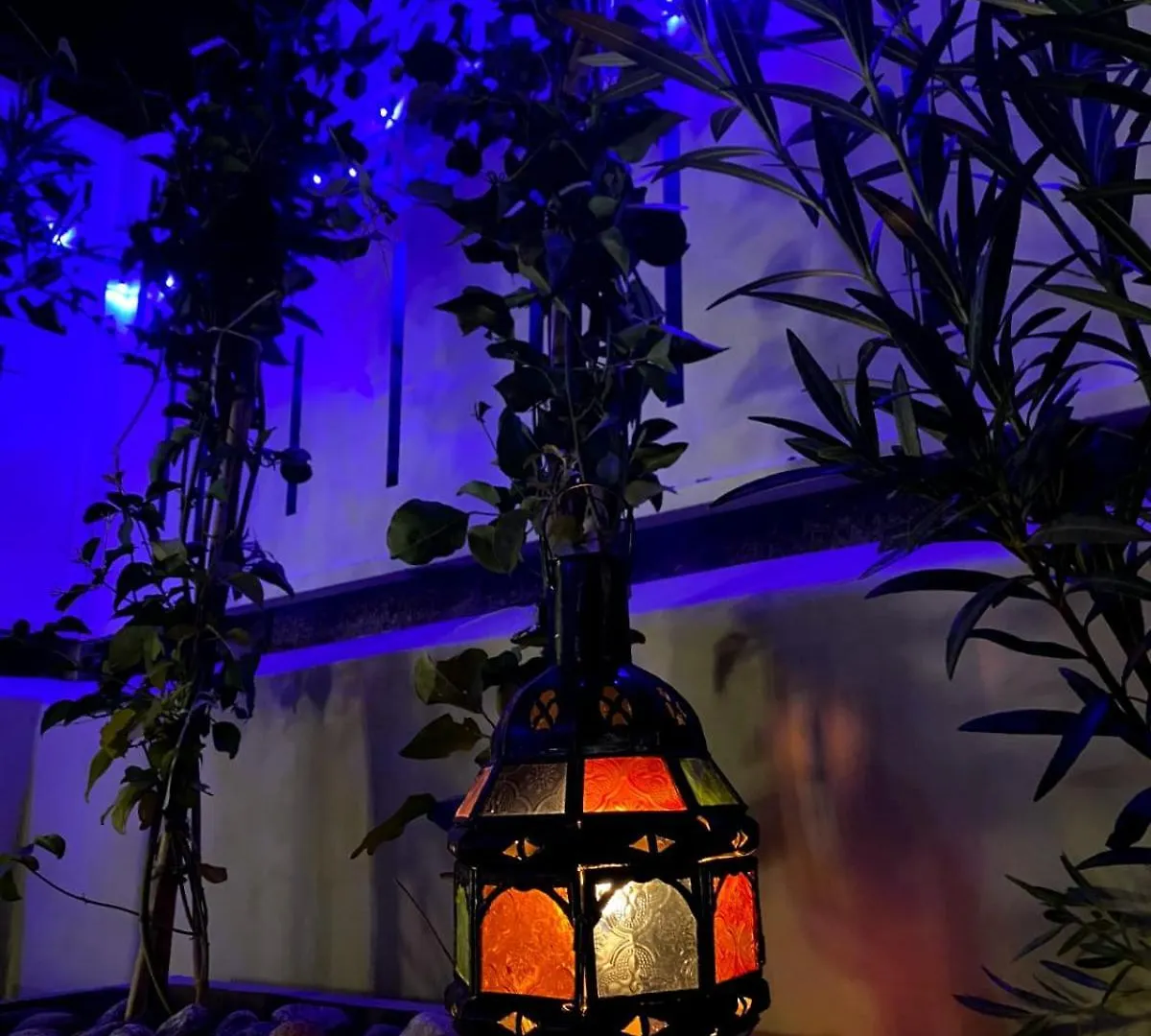 Riad & Spa Sous Le Soleil Chez Jerome Et Pamela Ch Lagon Marrakesh Homestay